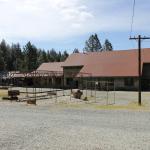 IMG_7524 (May 28, 2024)